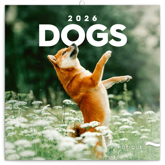 Falinaptár képes lemeznaptár 300x300mm, Dogs Realsystem 2026.