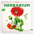 Kép 1/2 - Falinaptár képes lemeznaptár 300x300mm, Herbarium Realsystem 2026.