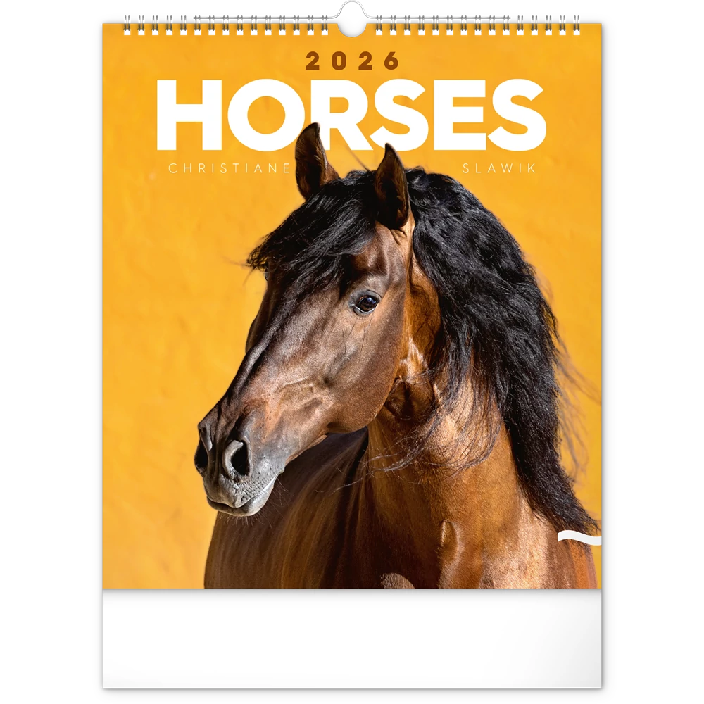 Falinaptár képes  300x340mm Horses Realsystem 2026.