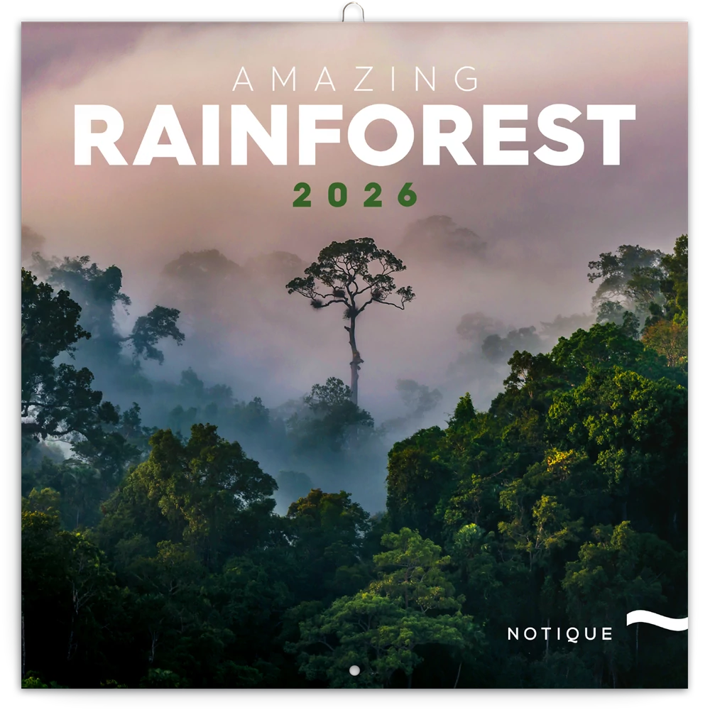 Falinaptár képes lemeznaptár 300x300mm, Amazing Rainforest Realsystem 2026.