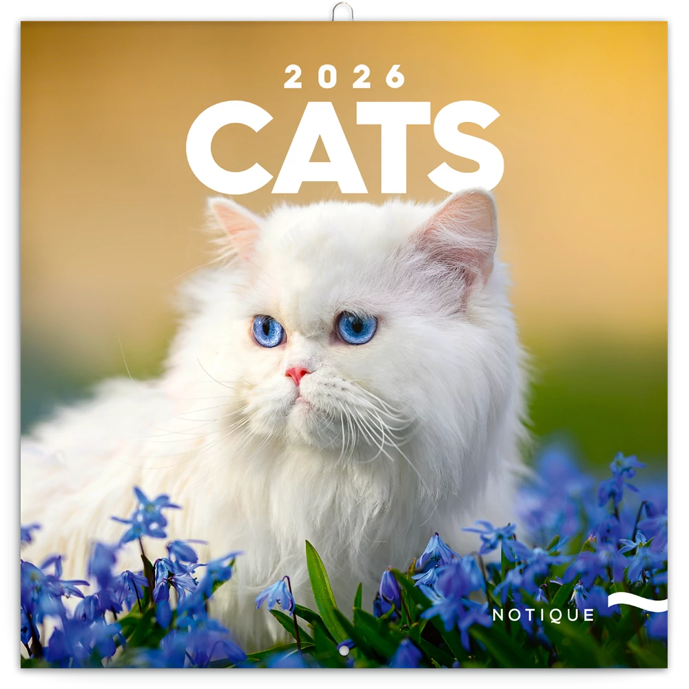 Falinaptár képes lemeznaptár 300x300mm, Cats Realsystem 2026.