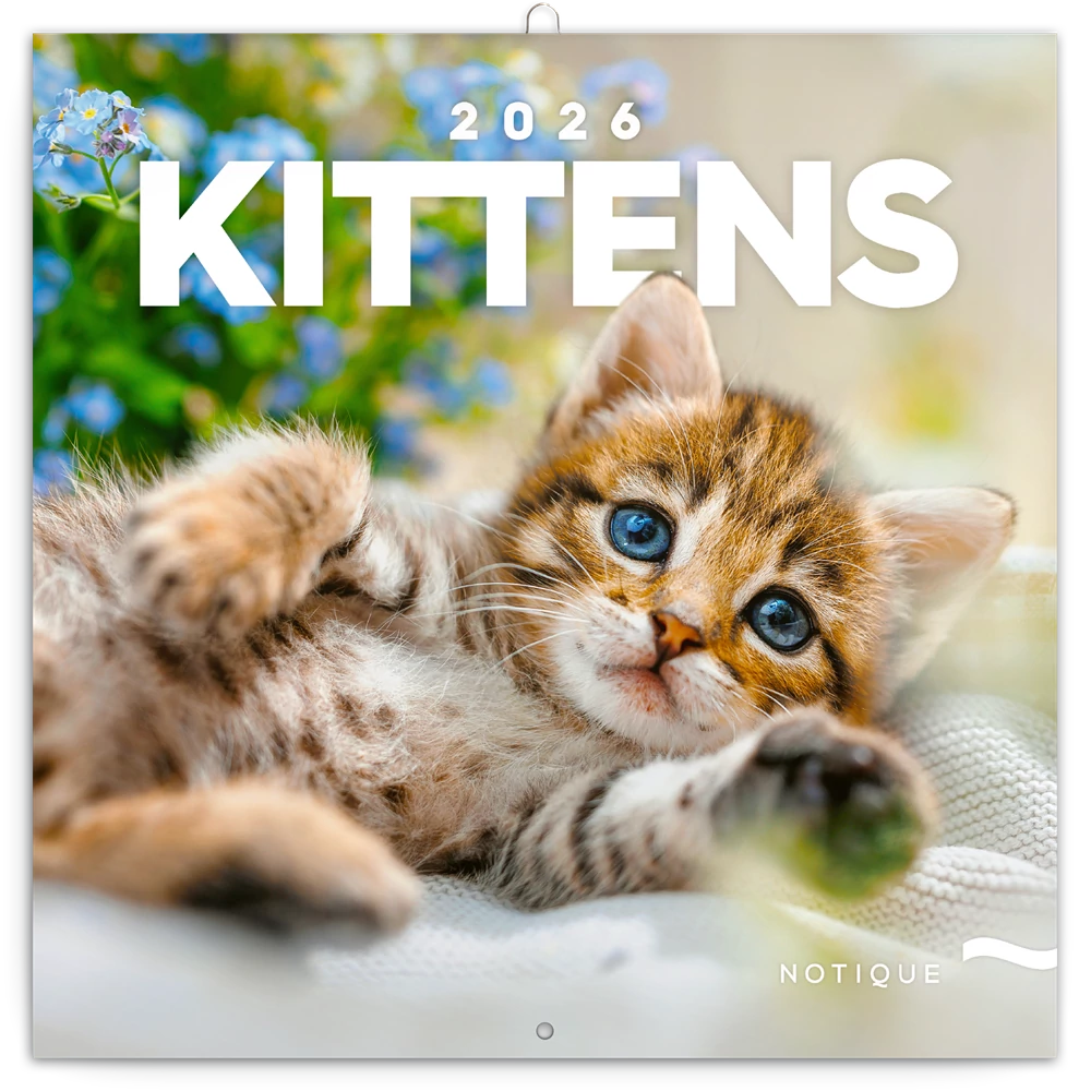 Falinaptár képes lemeznaptár 300x300mm, Kittens Realsystem 2026.